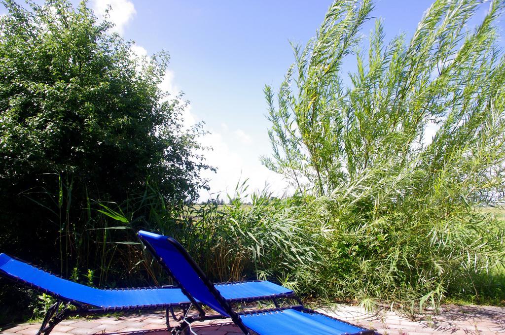 Wiesenblick Pellworm Oda fotoğraf